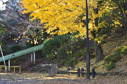 イチョウが黄葉した水飲み付近 - 上野町公園
