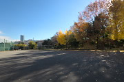黄葉の広場を西側から - 上野町公園