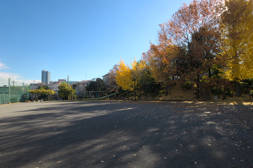 黄葉の広場を西側から - 上野町公園