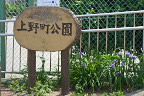 入口のムラサキツユクサ - 上野町公園