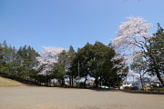 桜が咲く広場の南側 - 万葉公園