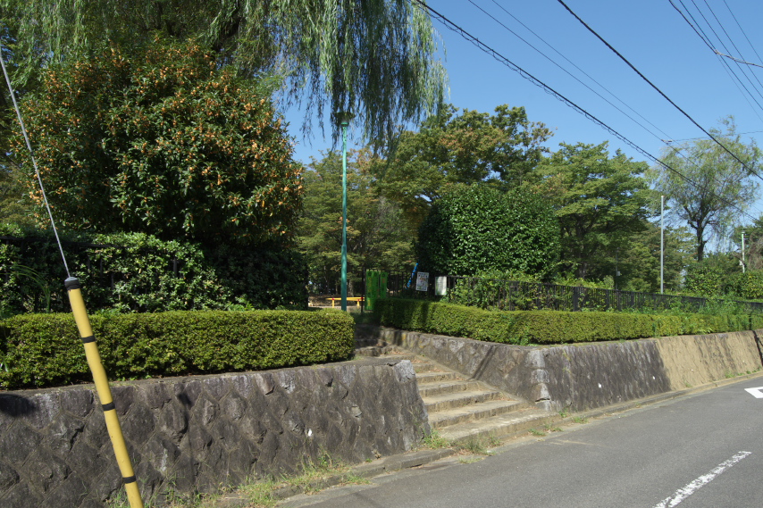 キンモクセイが咲いた西側の入口 - 万葉公園