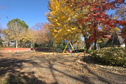秋の黄紅葉 - 横川下原公園