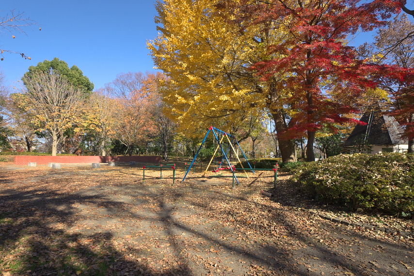 秋の黄紅葉 - 横川下原公園