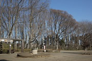 冬、緑が少なくなった光景 - 横川下原公園