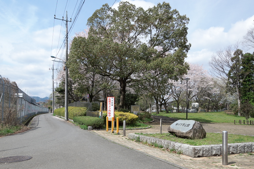 春、桜が咲く横川下原公園