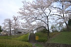 桜が咲く遊具広場側の入口 - 清水公園