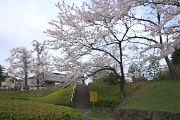 桜が咲く遊具広場側の入口 - 清水公園