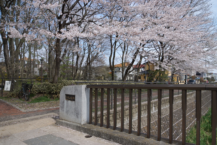 桜が咲く清水公園橋の入口 - 清水公園