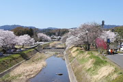 桜と桃が咲く陵南公園を南浅川橋から