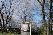桜、片倉城跡の案内板 - 片倉城跡公園