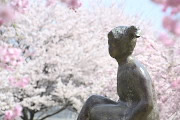 桜と彫刻「春休み」 - 片倉城跡公園