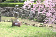 シダレザクラ(枝垂桜)と彫刻「春休み」2 - 片倉城跡公園