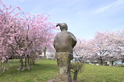 桜と彫刻「春休み」背面 - 片倉城跡公園