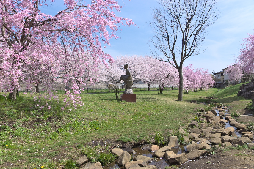桜が咲く湯殿川側の広場 - 片倉城跡公園