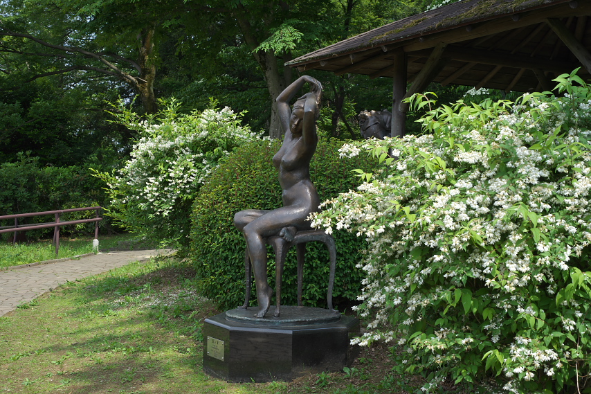 ウツギと彫刻「長い髪」 - 片倉城跡公園