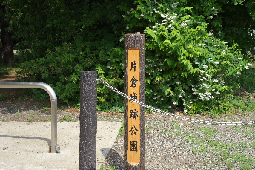 ウツギ(空木)が咲く入口 - 片倉城跡公園