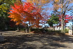 片倉城跡公園 - 秋、紅葉の彫刻広場