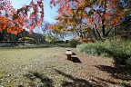 秋の本丸広場 - 片倉城跡公園