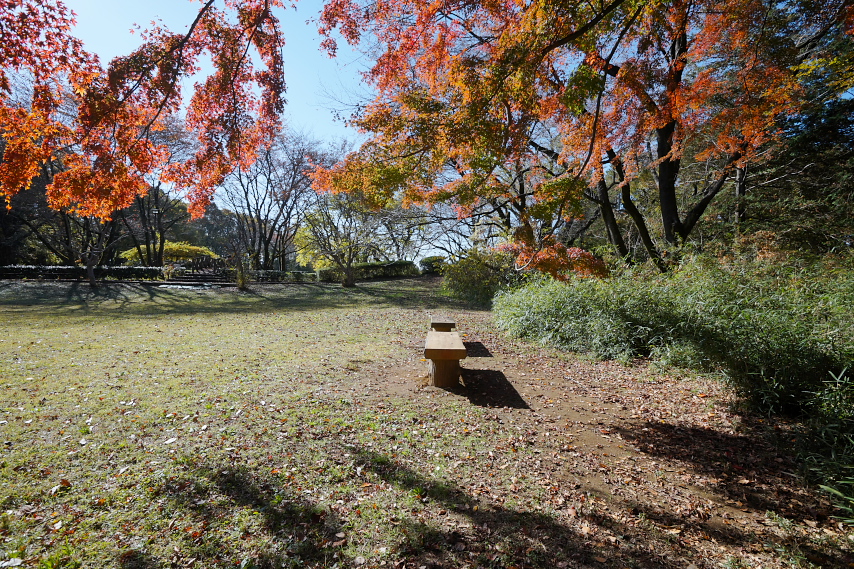 秋の本丸広場 - 片倉城跡公園
