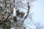 山桜と彫刻「浦島−長寿の舞」 - 片倉城跡公園