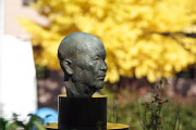 秋、公孫樹の黄葉と彫刻「貌」 - 片倉城跡公園