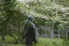 ハナミズキと彫刻「酔っぱらい」 - 片倉城跡公園