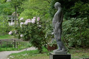 彫刻「酔っぱらい」、西洋石楠花が咲いた頃 2 - 片倉城跡公園