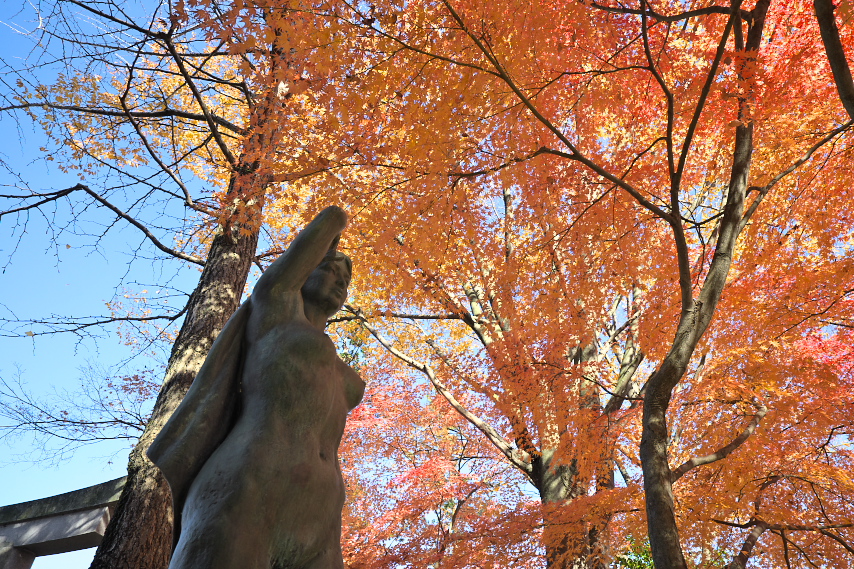 紅葉と彫刻「春風」2 - 片倉城跡公園