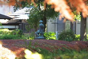 紅葉時期の彫刻「独」 - 片倉城跡公園