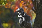 紅葉、彫刻「早く来ないかなあ」 - 片倉城跡公園