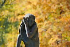 秋、彫刻「春を感じて」 - 片倉城跡公園