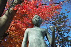 紅葉と彫刻「少年」 - 片倉城跡公園