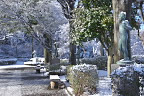 雪、彫刻「少年」2 - 片倉城跡公園