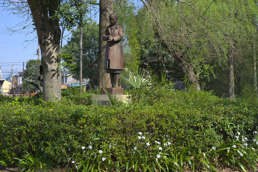 シャガが咲く春の「雪の朝」 - 片倉城跡公園