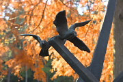秋、彫刻「風景−海−」のカモメ - 片倉城跡公園