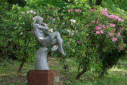 西洋石楠花と彫刻「夢につつまれ」4 - 片倉城跡公園