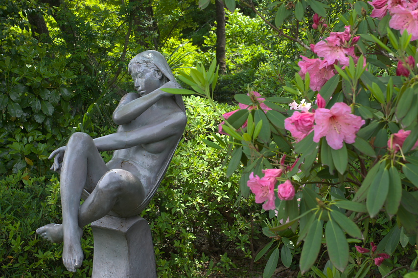 西洋石楠花と彫刻「夢につつまれ」 - 片倉城跡公園