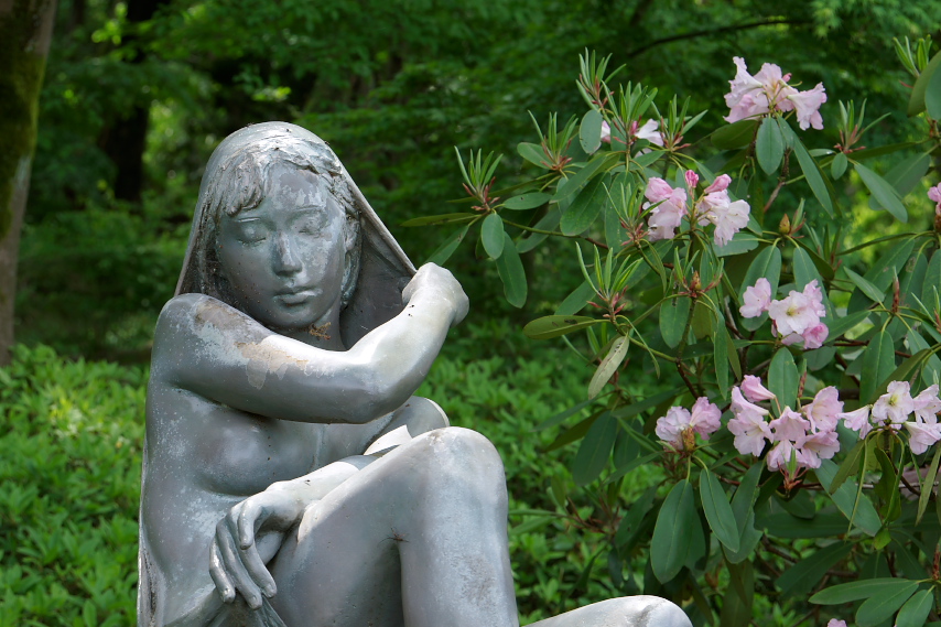 西洋石楠花と彫刻「夢につつまれ」3 - 片倉城跡公園
