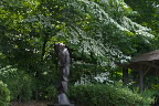 山法師と彫刻「ダナエ」 - 片倉城跡公園