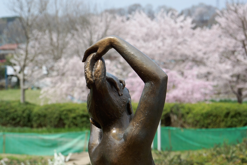 彫刻「長い髪」と桜 - 片倉城跡公園