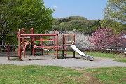 遊具の広場と桜 - 富士見台公園