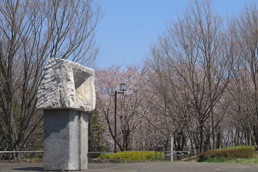 桜が開花した頃  - 富士見台公園