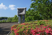 ツツジが咲く入口 - 富士見台公園