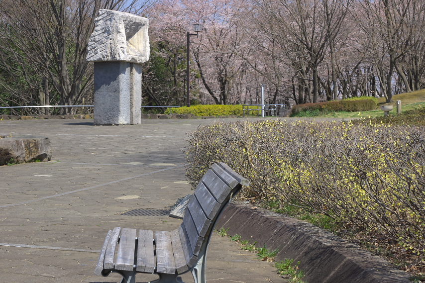 日向水木と桜が咲く富士見台公園