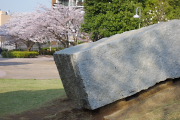 サクラと彫刻 - 南大沢中郷公園