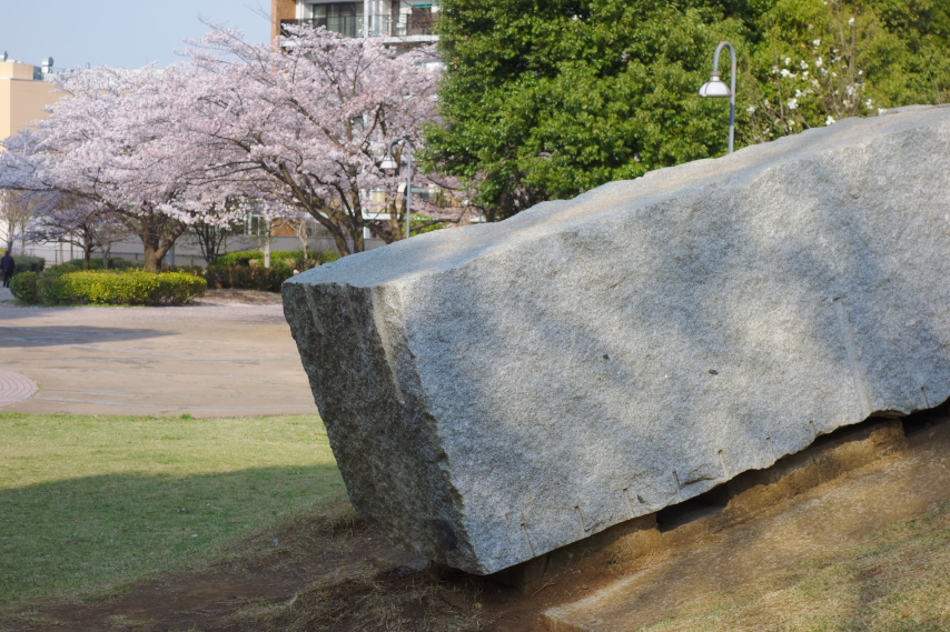 サクラと彫刻 - 南大沢中郷公園