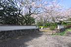 桜が咲く平山城址公園北中央口