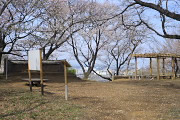 桜が咲く六国台 - 平山城址公園