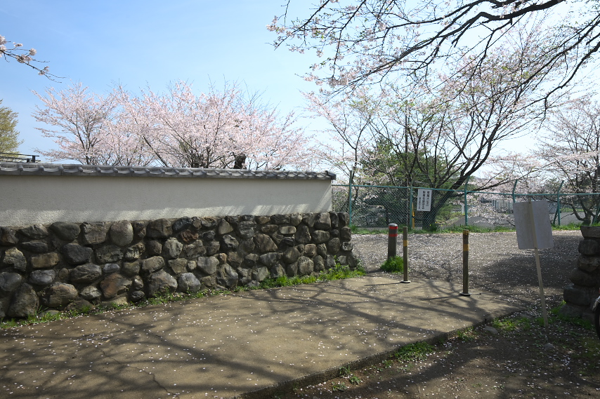 Olq - R隬